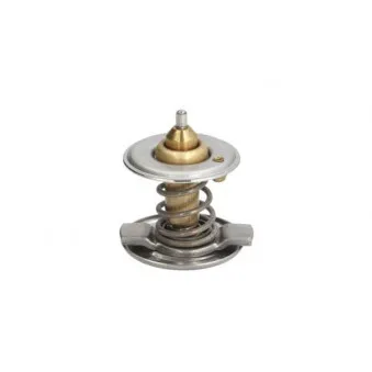 Thermostat d'eau THERMOTEC D2M001TT