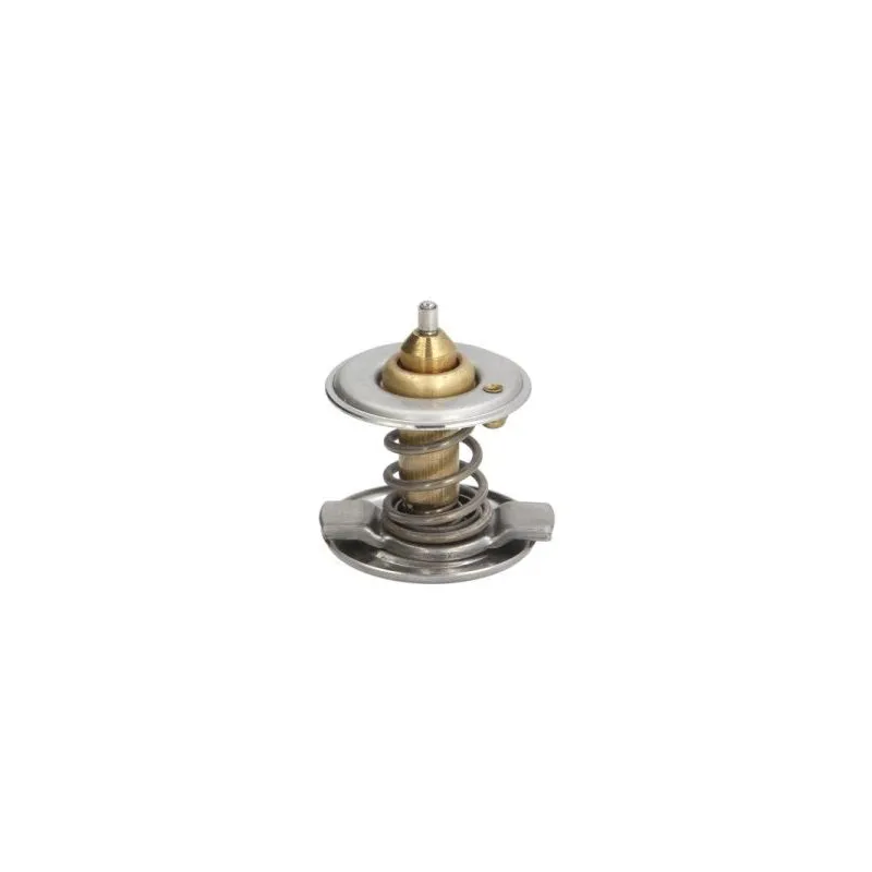 Thermostat d'eau THERMOTEC D2M001TT