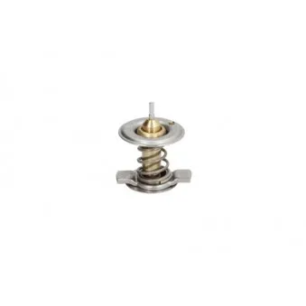 Thermostat d'eau THERMOTEC D2M002TT