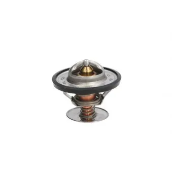 Thermostat d'eau THERMOTEC D2T001TT