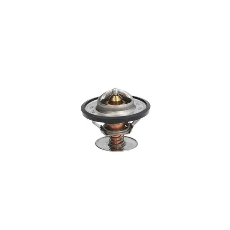 Thermostat d'eau THERMOTEC D2T001TT