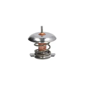 Thermostat d'eau THERMOTEC D2V001TT