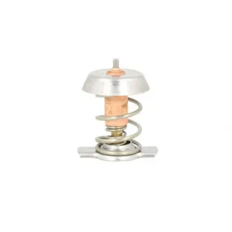 Thermostat d'eau THERMOTEC D2X002TT