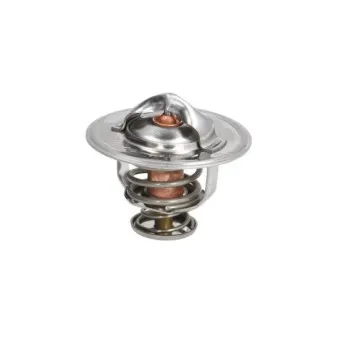 Thermostat d'eau THERMOTEC D2X003TT