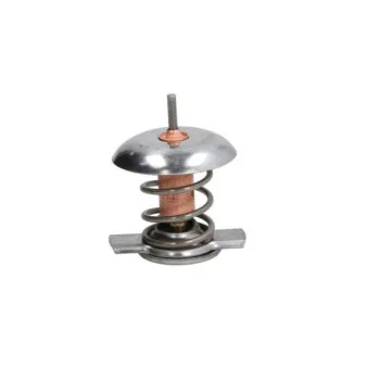 Thermostat d'eau THERMOTEC D2X005TT