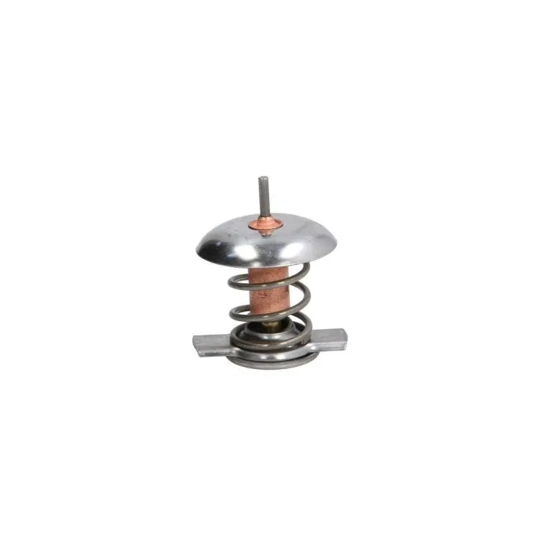 Thermostat d'eau THERMOTEC D2X005TT