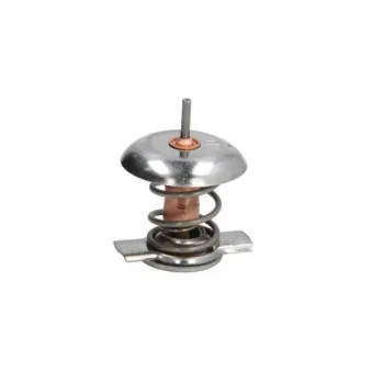 Thermostat d'eau THERMOTEC D2X007TT