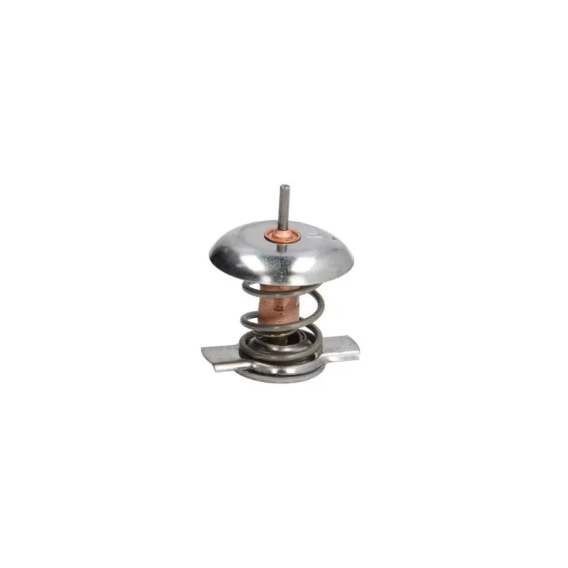 Thermostat d'eau THERMOTEC D2X007TT