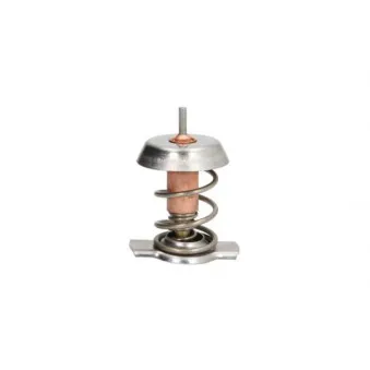 Thermostat d'eau THERMOTEC D2X008TT