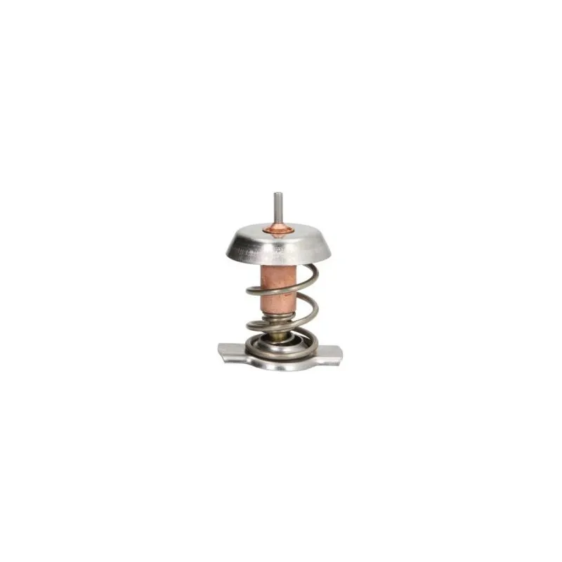 Thermostat d'eau THERMOTEC D2X008TT