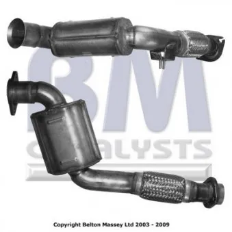 Catalyseur BM CATALYSTS BM80300H