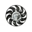 Ventilateur, refroidissement du moteur THERMOTEC D8W024TT - Visuel 2