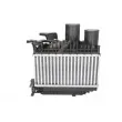 Intercooler, échangeur THERMOTEC DA2001TT - Visuel 1