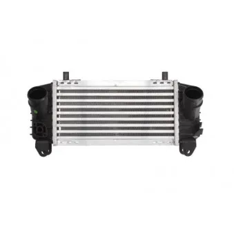 Intercooler, échangeur THERMOTEC DAA007TT