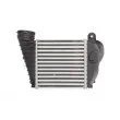 Intercooler, échangeur THERMOTEC DAA009TT - Visuel 2