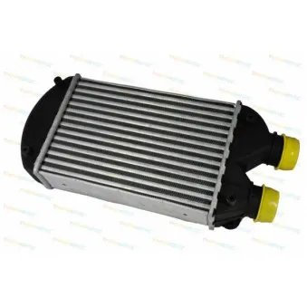 Intercooler, échangeur THERMOTEC DAF002TT