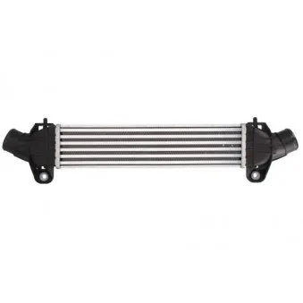 Intercooler, échangeur THERMOTEC DAG009TT