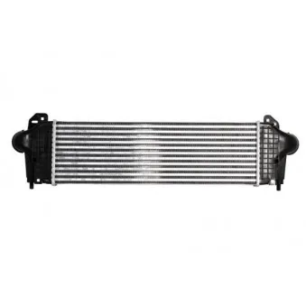 Intercooler, échangeur THERMOTEC DAIV005TT