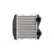 Intercooler, échangeur THERMOTEC DAM012TT - Visuel 1