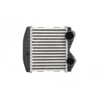 Intercooler, échangeur THERMOTEC DAM012TT