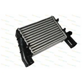 Intercooler, échangeur THERMOTEC DAW002TT