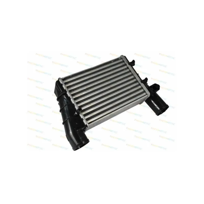 Intercooler, échangeur THERMOTEC DAW002TT