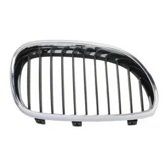 Grille de radiateur avant droit BLIC 6502-07-0066994P