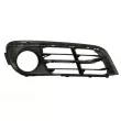 Grille de ventilation, pare-chocs BLIC 6502-07-0067925P - Visuel 2