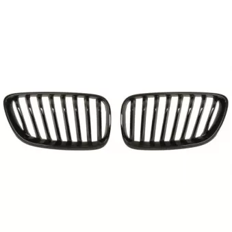 Grille de radiateur BLIC 6502-07-0069993P