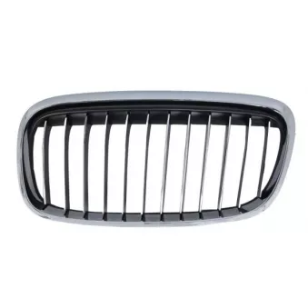 Grille de radiateur avant gauche BLIC 6502-07-0071997LP