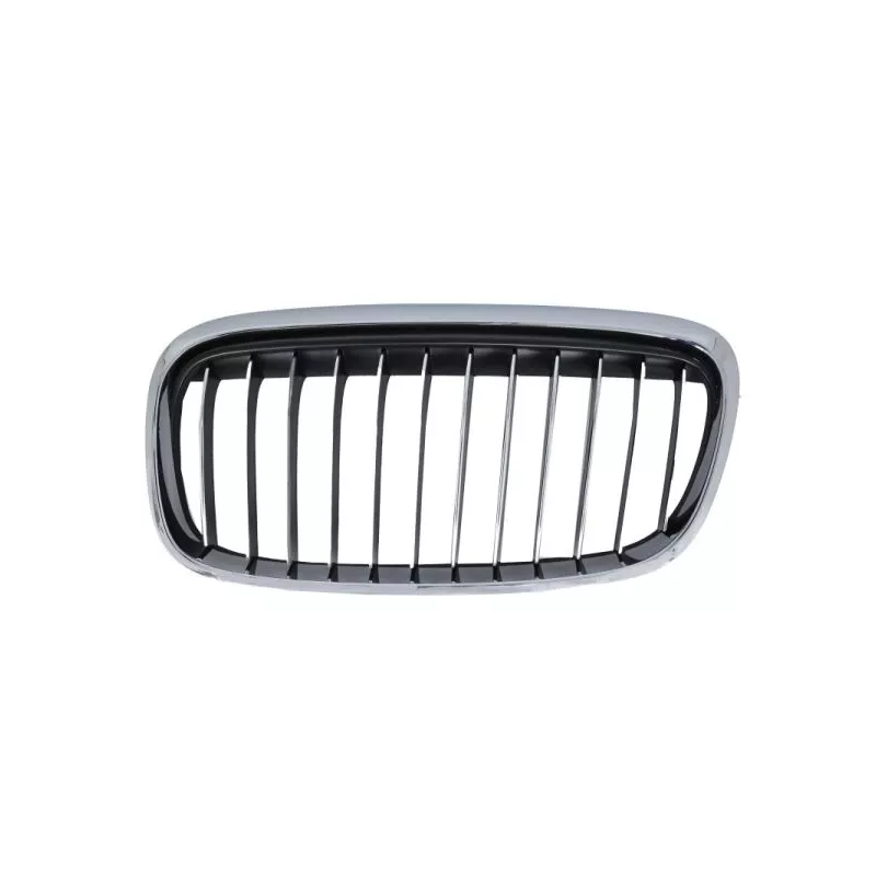 Grille de radiateur avant gauche BLIC 6502-07-0071997LP