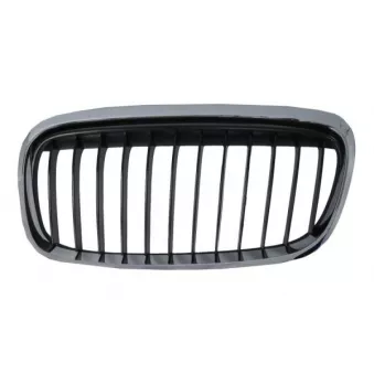 Grille de radiateur avant gauche BLIC 6502-07-0071997SP