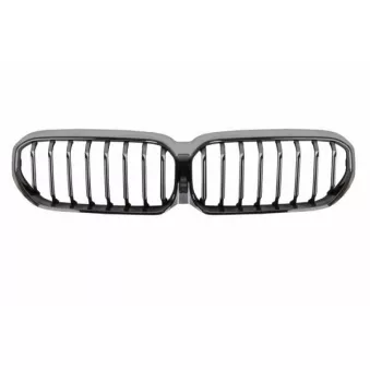 Grille de radiateur BLIC 6502-07-0072992P