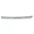 Baguette et bande protectrice, pare-chocs avant droit BLIC 6502-07-0538992P - Visuel 1