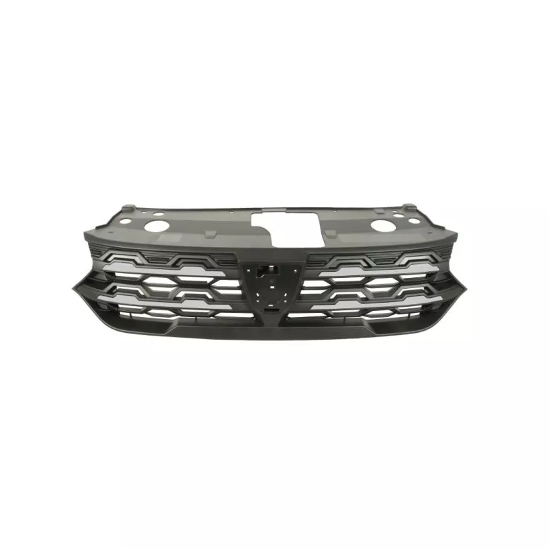 Grille de radiateur BLIC 6502-07-1307991P