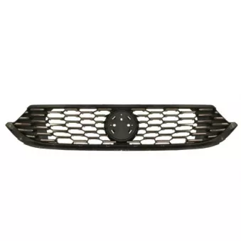 Grille de radiateur BLIC 6502-07-2030991P