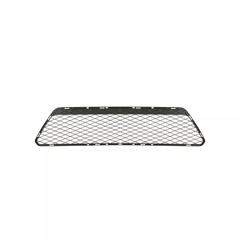 Grille de ventilation, pare-chocs BLIC 6502-07-2533999P