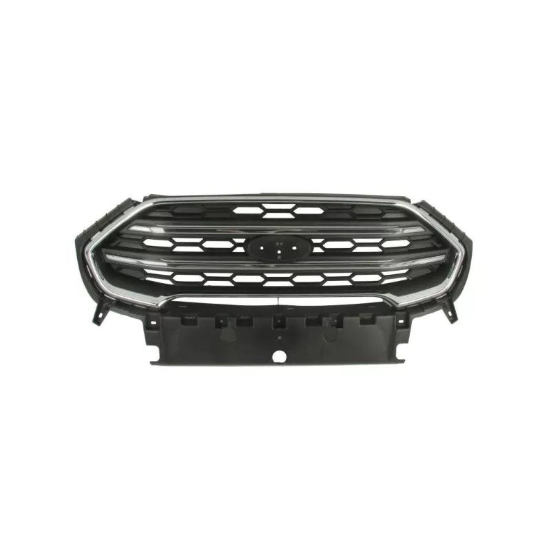 Grille de radiateur BLIC 6502-07-2588990P