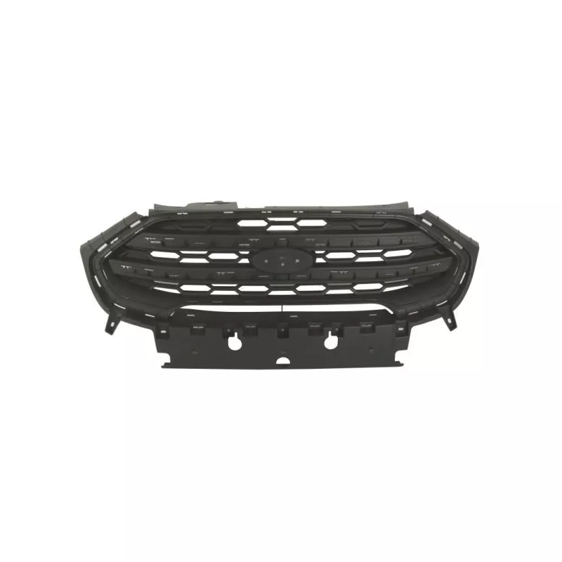 Grille de radiateur BLIC 6502-07-2588995P