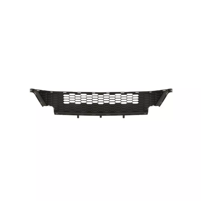 Grille de radiateur BLIC 6502-07-2596990P