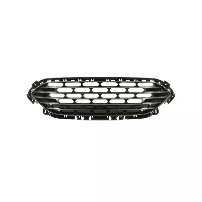 Grille de radiateur BLIC 6502-07-2596991P