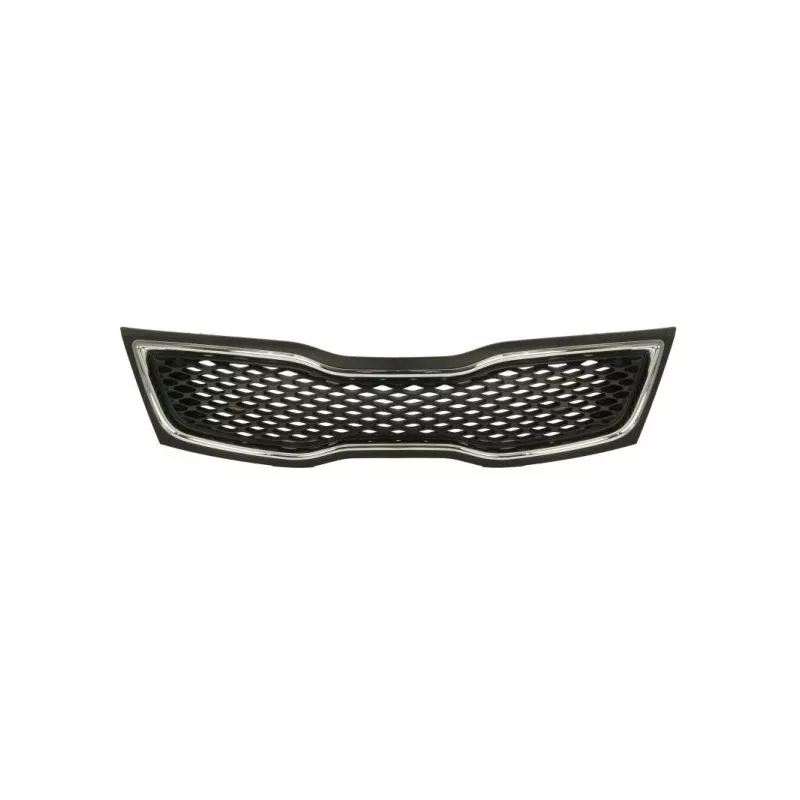 Grille de radiateur BLIC 6502-07-3222990P