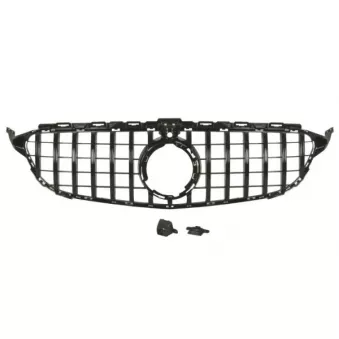 Grille de radiateur BLIC 6502-07-3521991PP