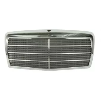 Grille de radiateur BLIC 6502-07-3524995P