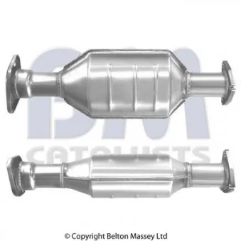 Catalyseur BM CATALYSTS