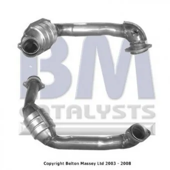 Catalyseur BM CATALYSTS BM91038H