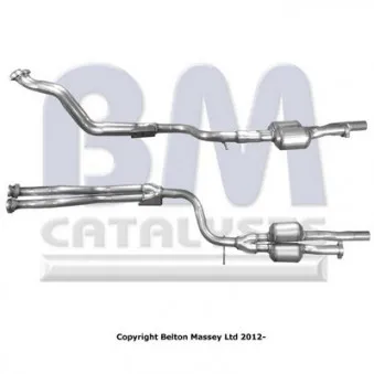 Catalyseur BM CATALYSTS