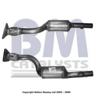 Catalyseur BM CATALYSTS BM91445H