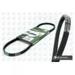 Courroie trapézoïdale à nervures BGA 3PK863E - Visuel 2