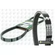 Courroie trapézoïdale à nervures BGA 4PK1022E - Visuel 2